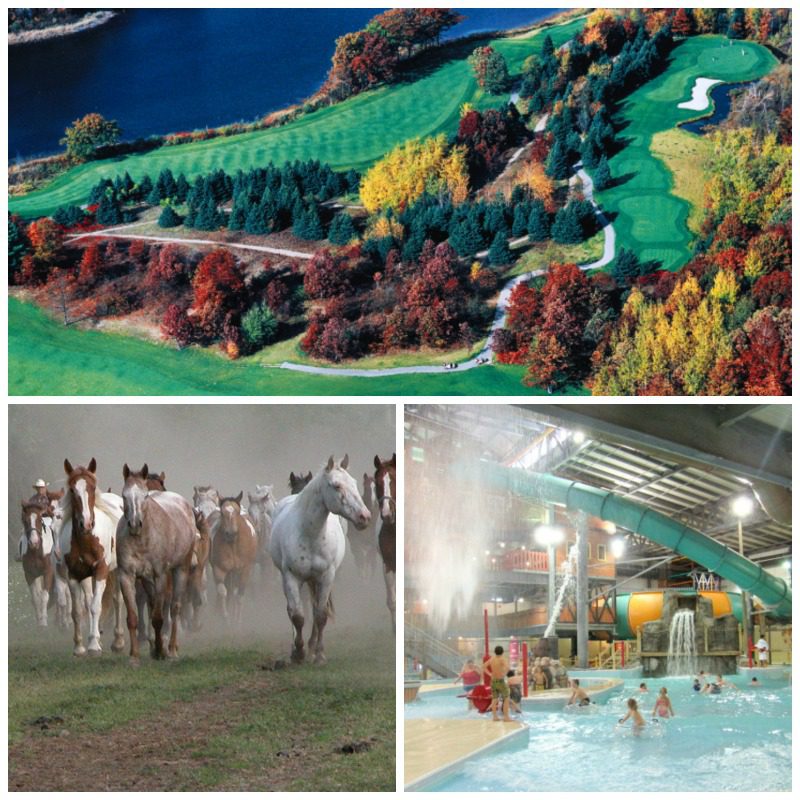 Double JJ Ranch Attractions