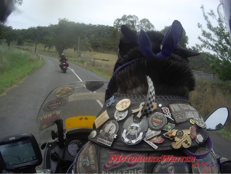 Tex and Bundy charity motorcycle riding couple