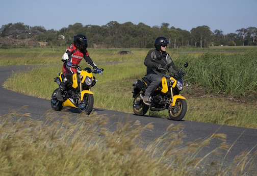 Jake Dolan on the Honda Grom