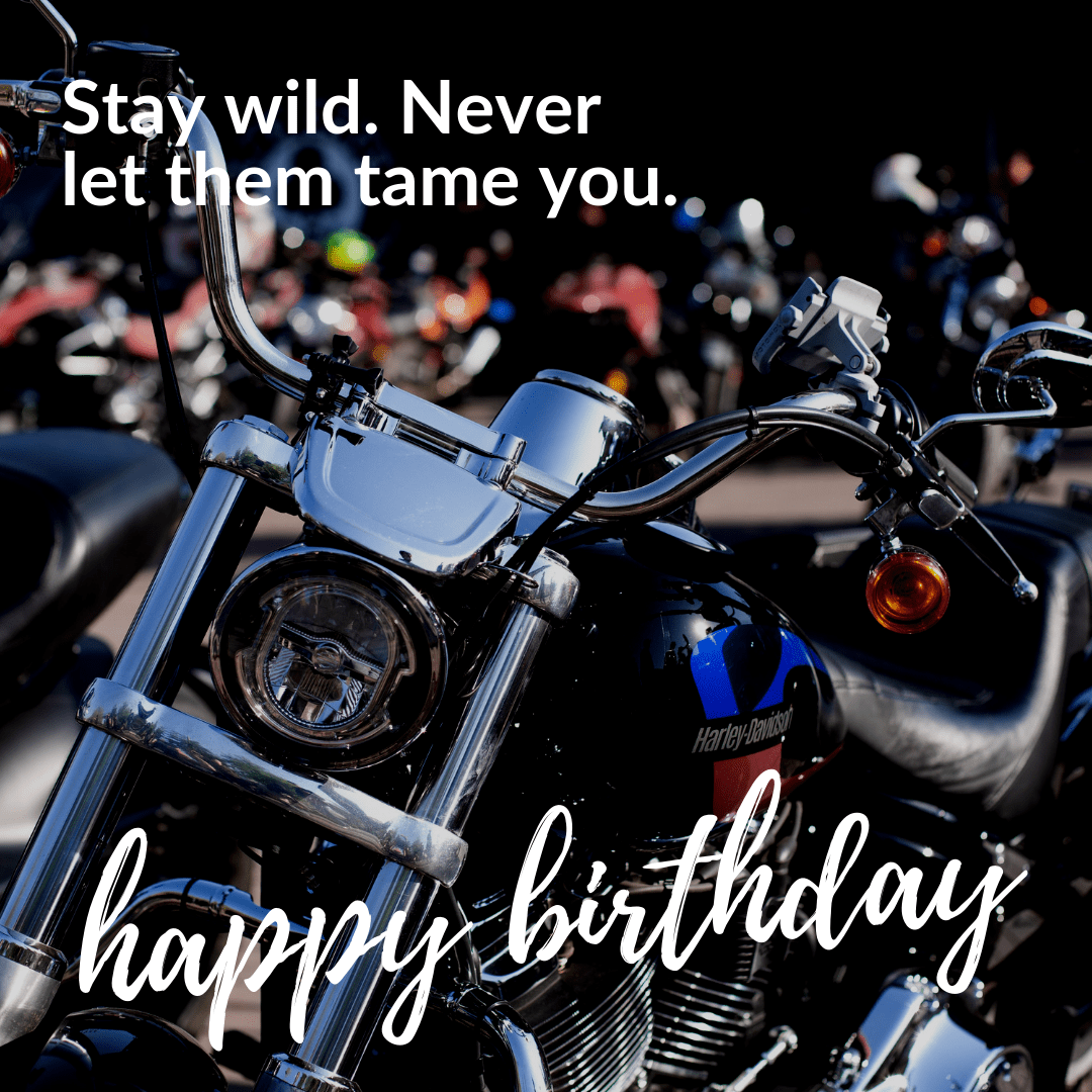 Stay Wild Happy Birthday Message