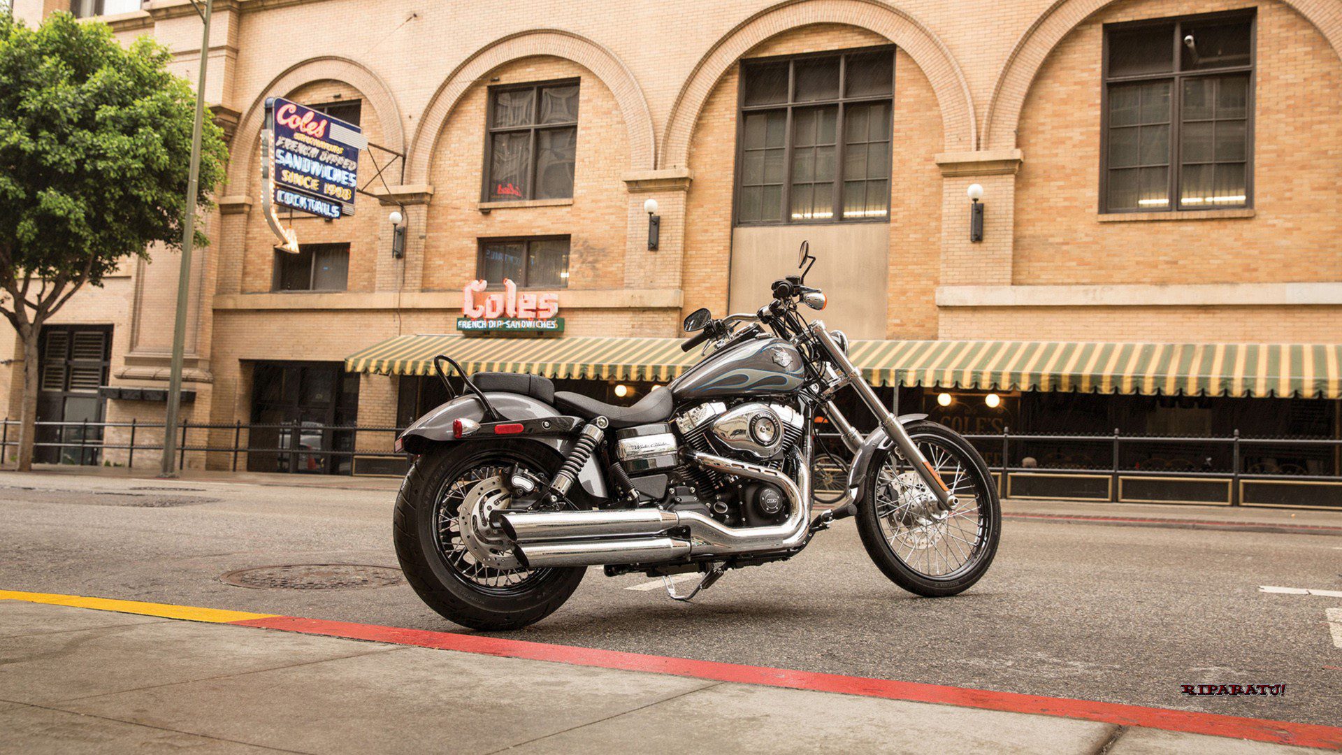 Harley Davidson Dyna Wide Glide Wallpapers