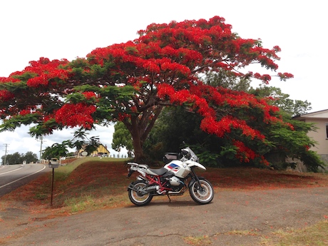 motorcycle maintenance