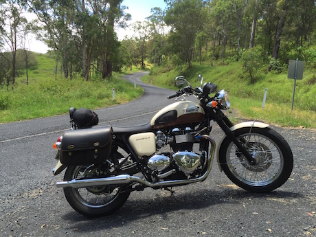 Triumph Bonneville T100 with Gazi black shocks halloween