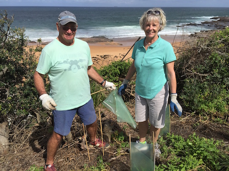 World on Wheels tree planting environment