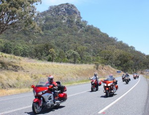 Goldwings lead the pack