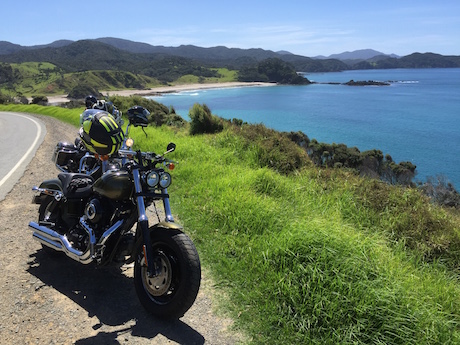 East coast vista New zealand