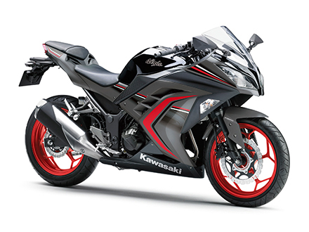 Kawasaki Ninja 300