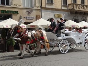 female riders WIMA