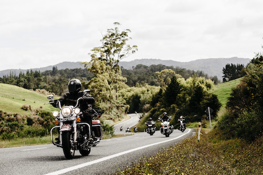 Heading toward the forests New zealand