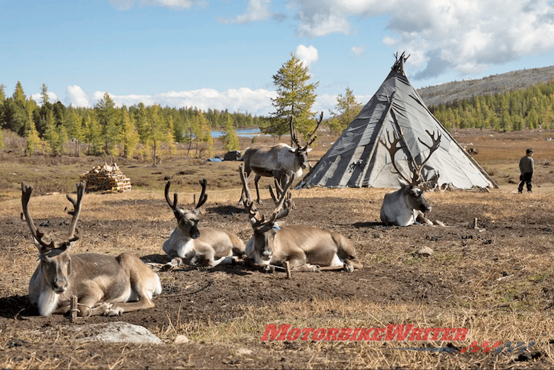 Extreme Bike Tours Mongolian Adventure Tour