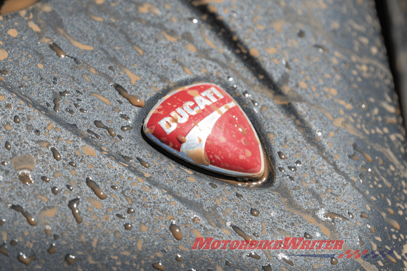 Muddy DucatiDucati logo sale interested