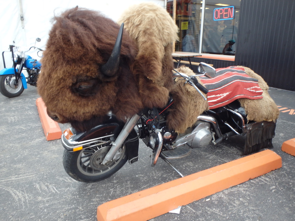 Riders used as political footballs motorcycles motorcycle Stiurgis Motorcycle Rally bison
