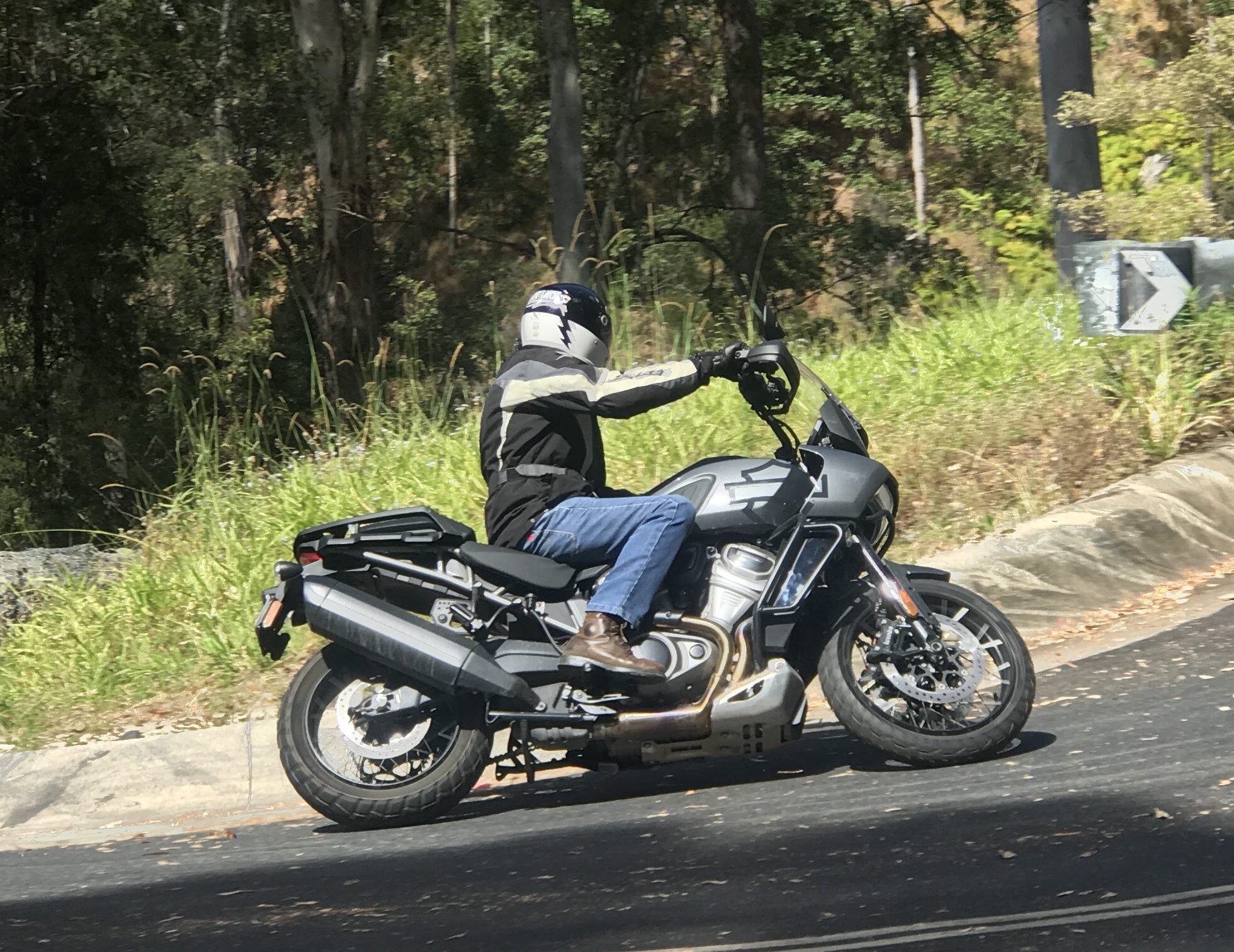 Harley-Davidson Pan America Special