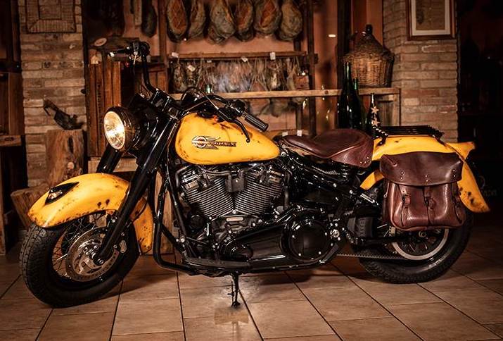 Rusty Sun Softail