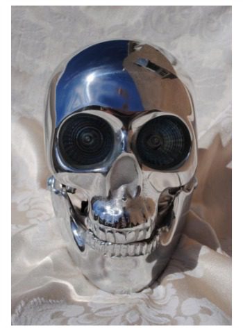 Skull Motorcycle Headlight 1