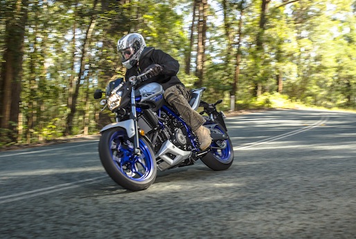 Yamaha MT-03 masters of torque