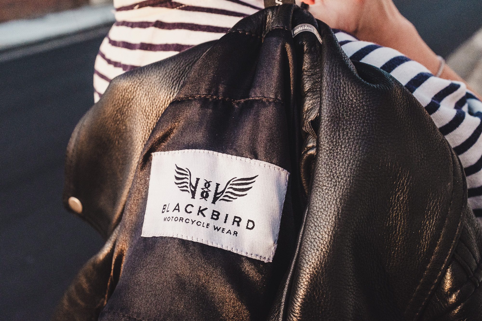 blackbird moto wear fly by night jacket