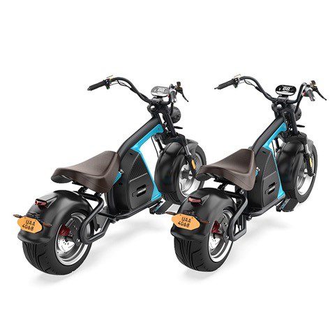 Chopper Electric Bike