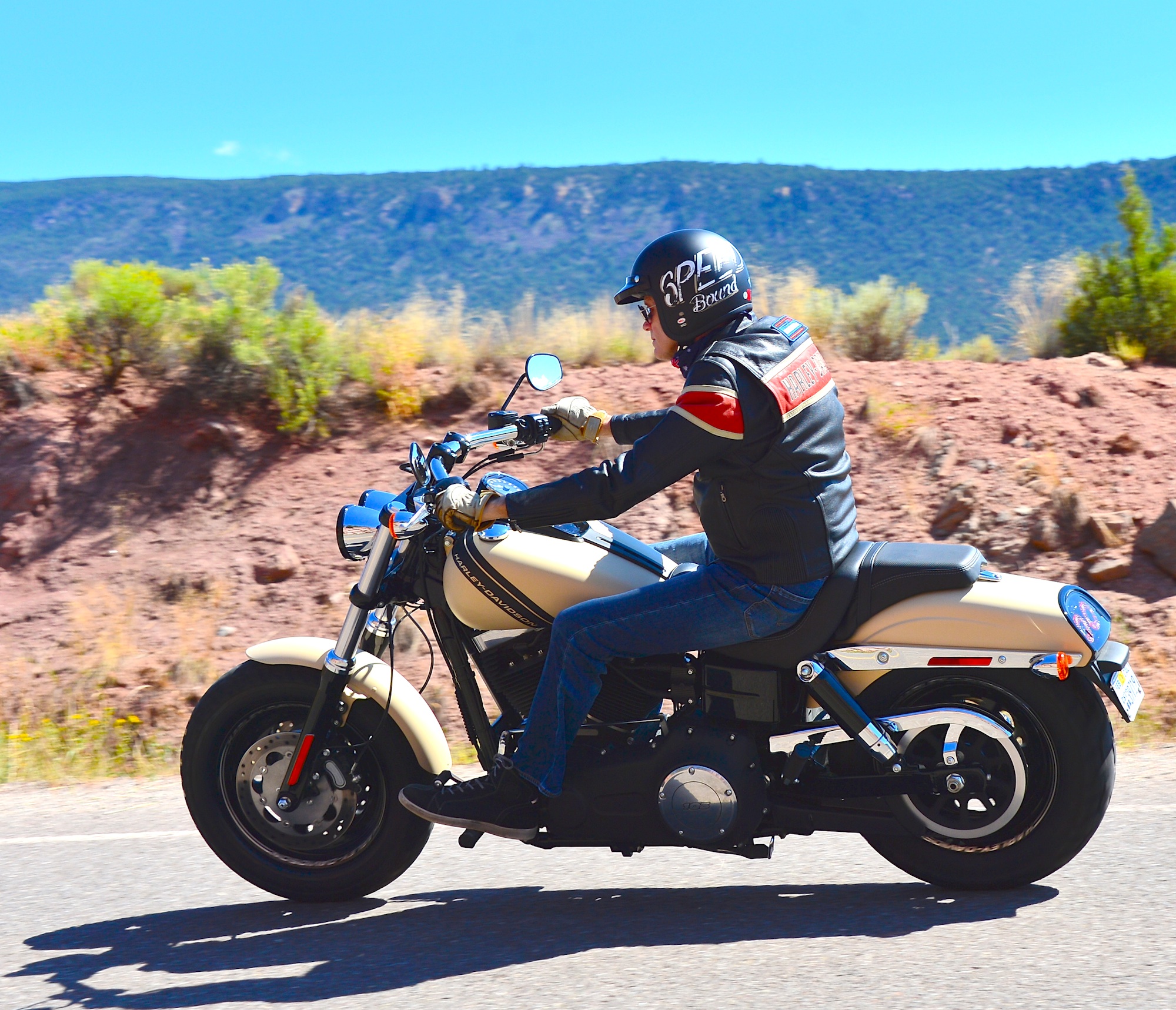 Harley Fat Bob