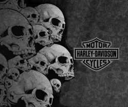 harley-davidson-skull-logo-wallpaper-8