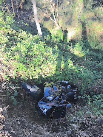 Mt Tamborine Goat Track crashes