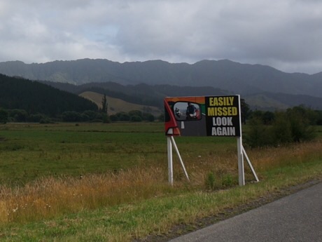 Kiwi drivers