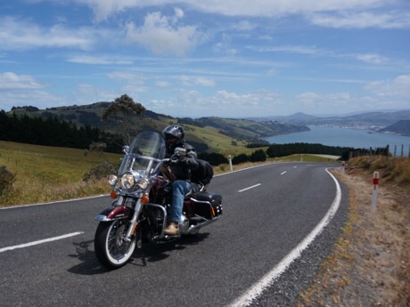 Views of Dunedin