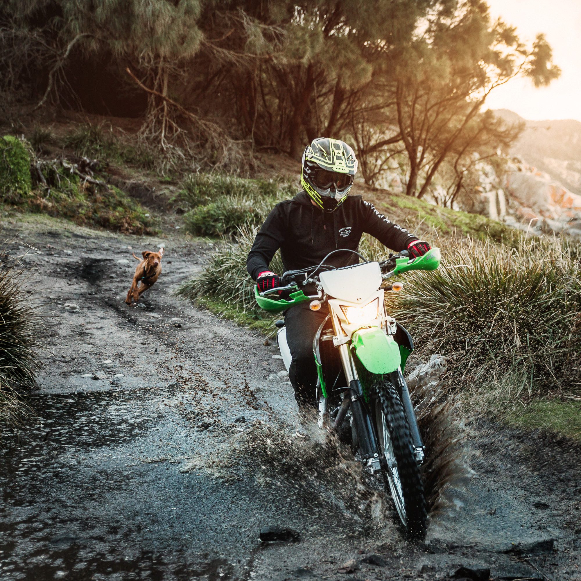An off-road motorcycle rider in Australia blasts through a puddle as a dog follows along behind