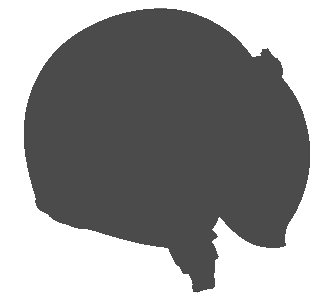 An outline of a limited edition helmet available from Royal Enfield