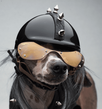 motorcycle helmet spikes on dog size helmet