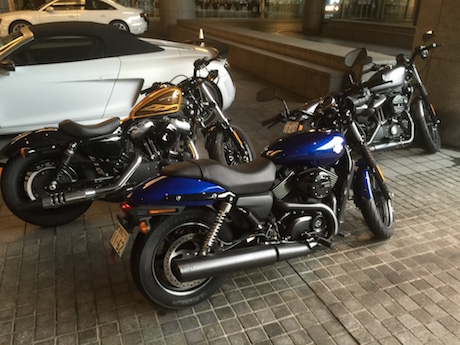 Harley-Davidson Forty-Eight, Street 750 in the new blue colour and 883 prices