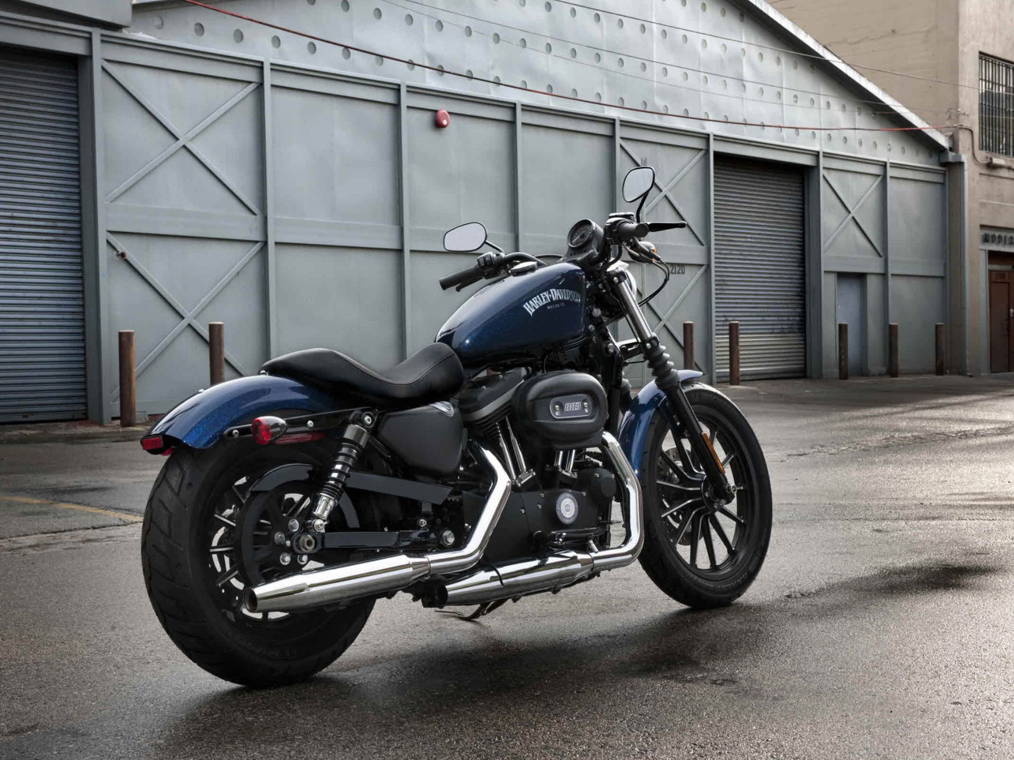 Harley Davidson Iron 883 Wallpapers