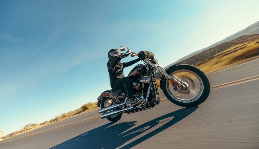 2023 Harley Davidson Softail Standard