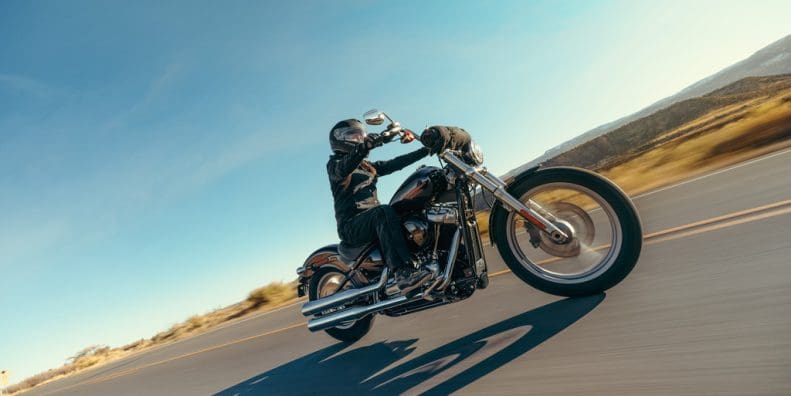 2023 Harley Davidson Softail Standard