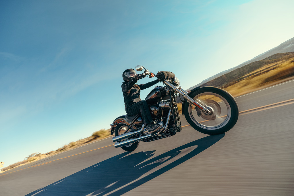2023 Harley Davidson Softail Standard