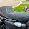 Close Up Saddlemen Step-Up Seat on Harley Sportster