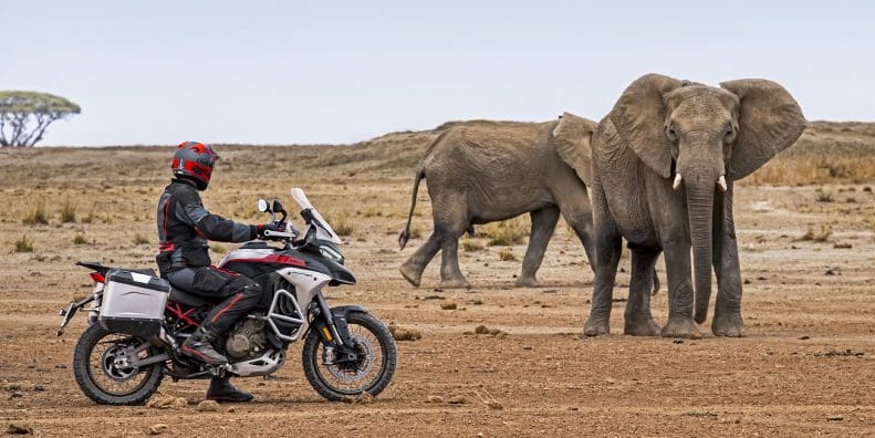 Ducati Multistrada V4 S / Pikes Peak / Rally