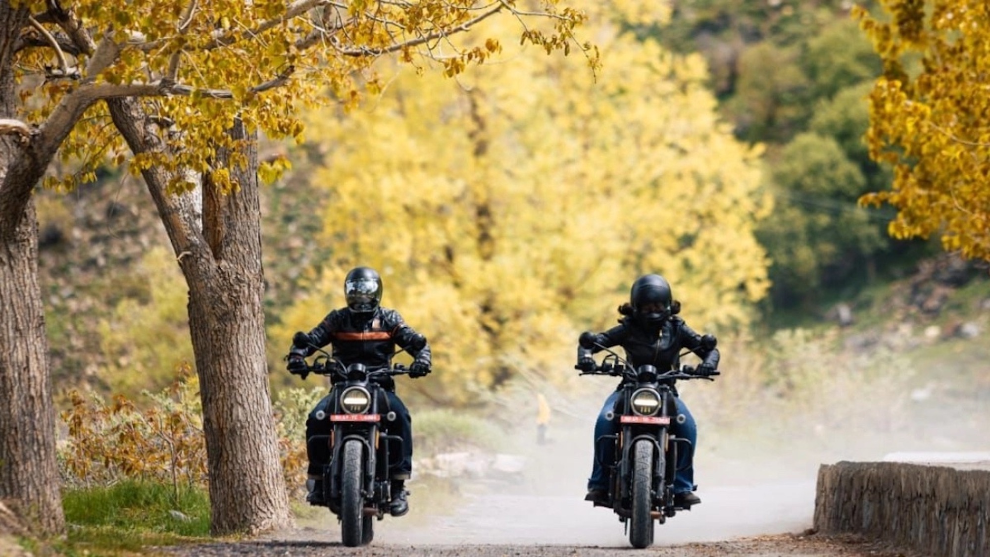 The newest view of Harley-Davidson's X440, co-developed and built by Hero Motocorp. Media sourced from The Financial Express.