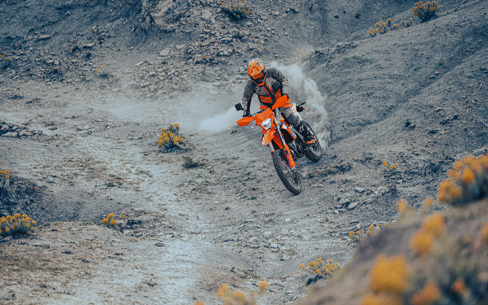 2024 KTM 350 EXCF [Specs, Features, Photos] Honda NC700 Forum