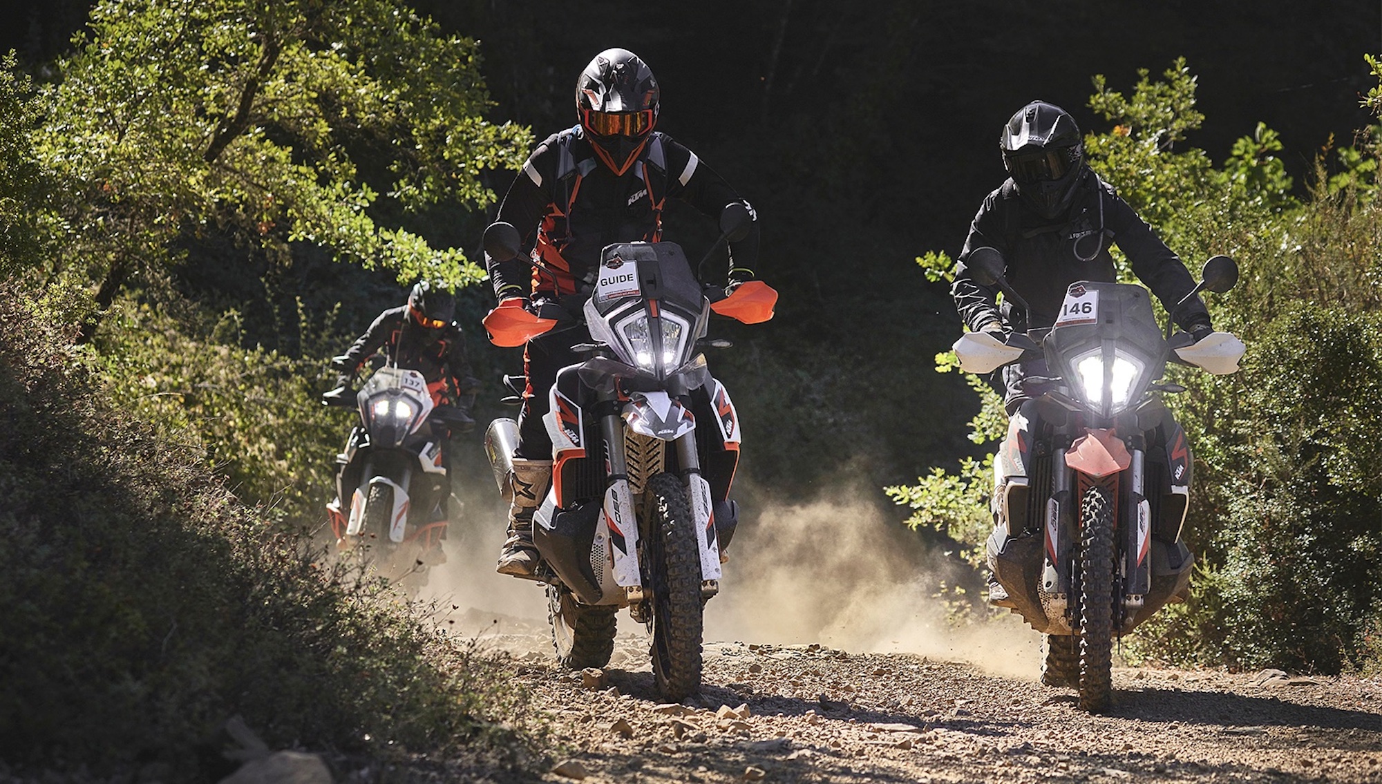 A myriad of KTM machines mucking about in nature proper. Media sourced from RevZilla. 