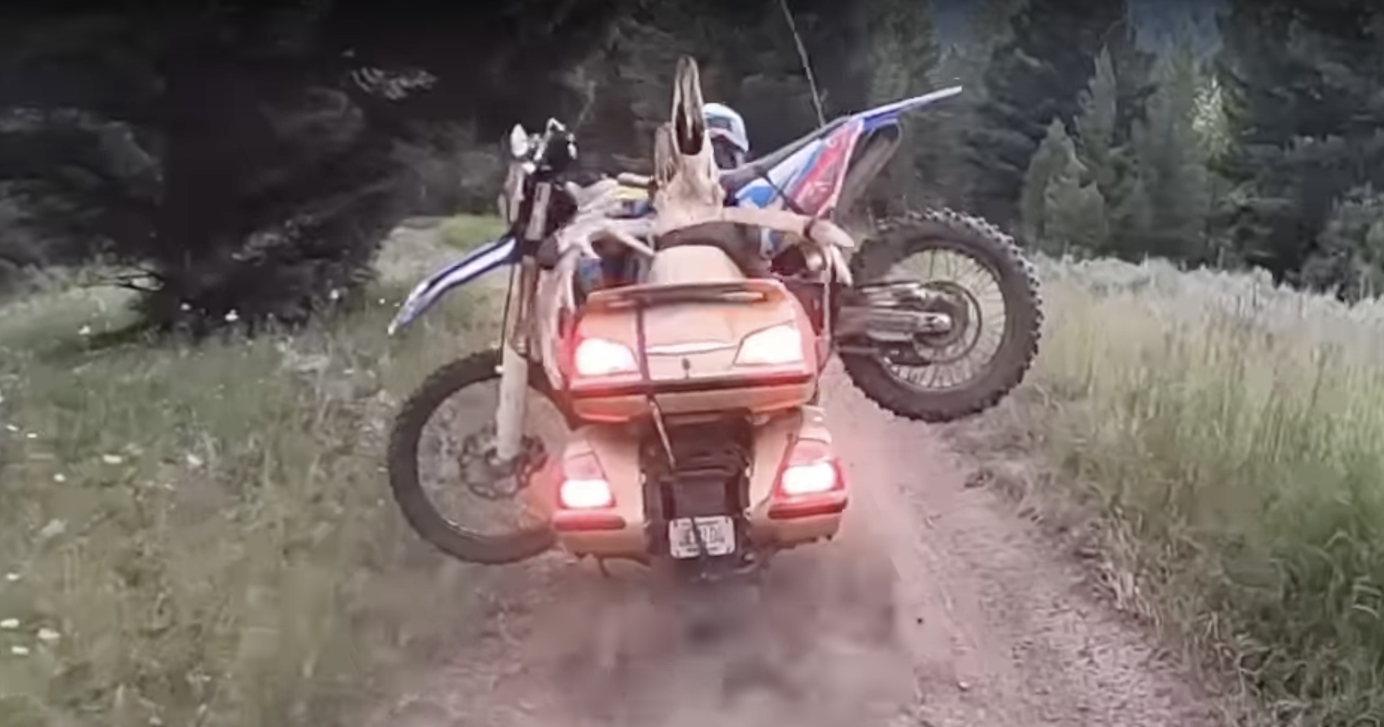 A view of a modded Honda Gold Wing off-roading a dirt bike to a local hilltop. Media sourced from Youtube.