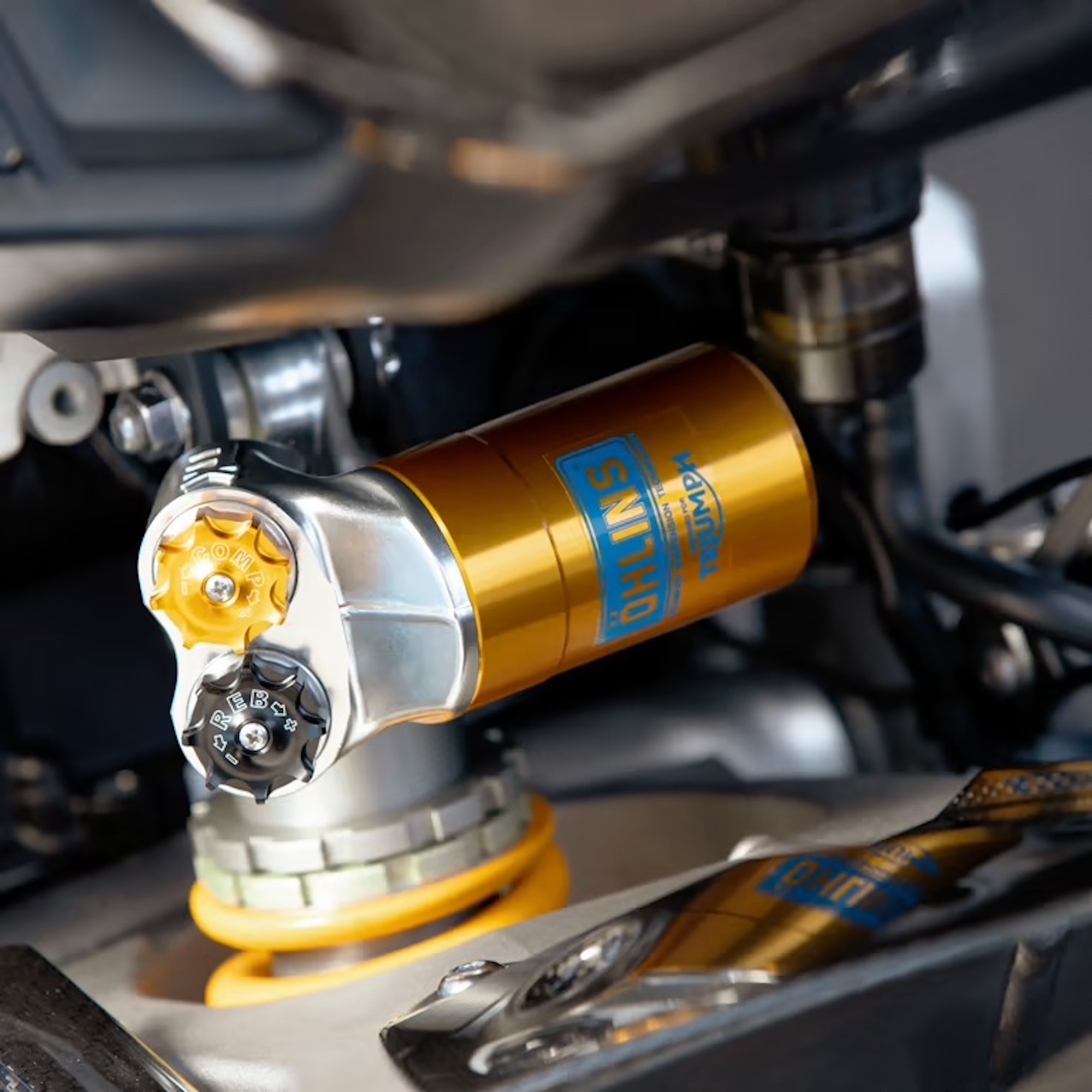 A view of the current Triumph Daytona 765, some components of which may be borrowed for this budding 660. Media sourced from Triumph.