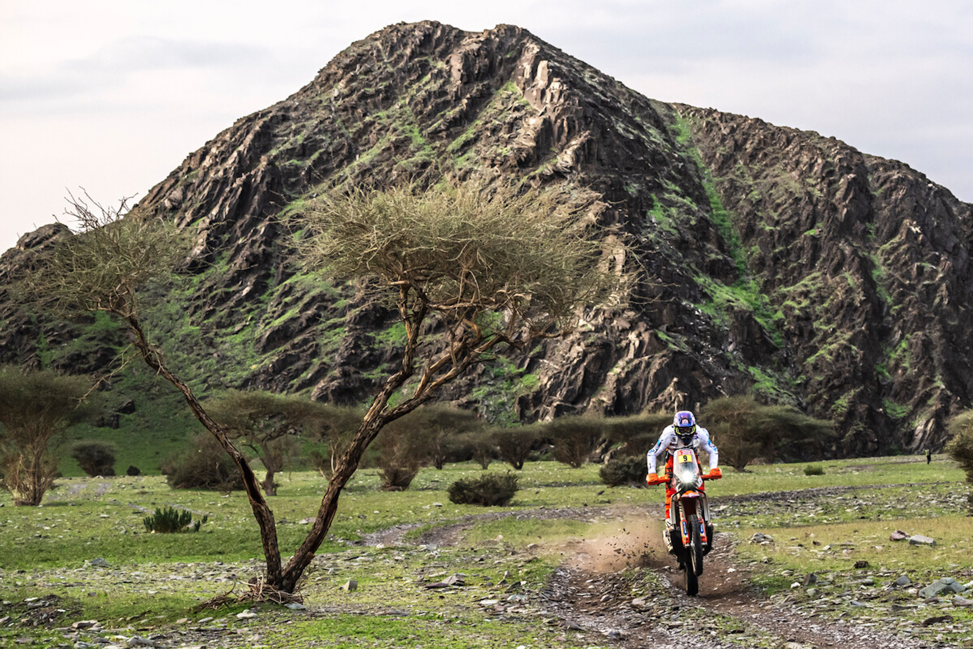 A view of KTM’s 2024 450 Rally Replica. Media provided by KTM.