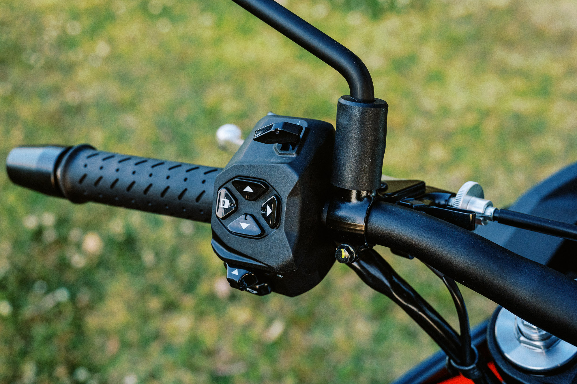 Detail shot of a 2023 Aprilia Tuono 660 Factory in a park at sunset