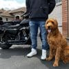 Side profile of Devan wearing the REVOLT Ripped Armored Jeans with Ollie the Goldendoodle