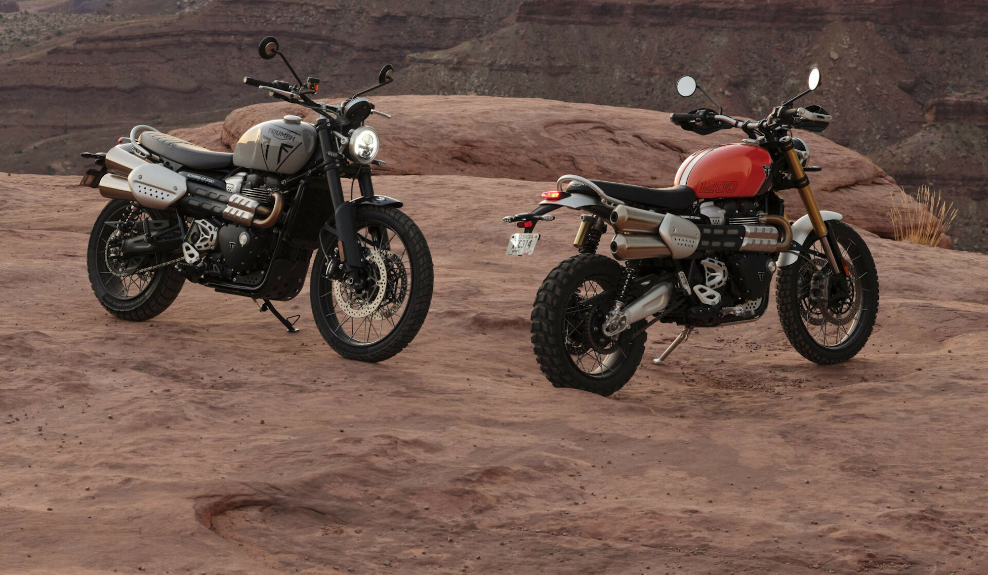 A view of Triumph's 2024 Scrambler range. Media sourced from Roadracing World.