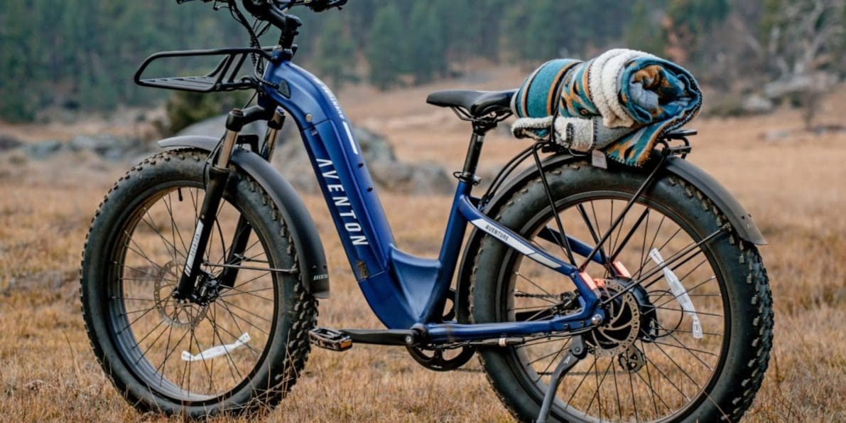 The Best Fat Tire eBikes [2024 Edition] webBikeWorld