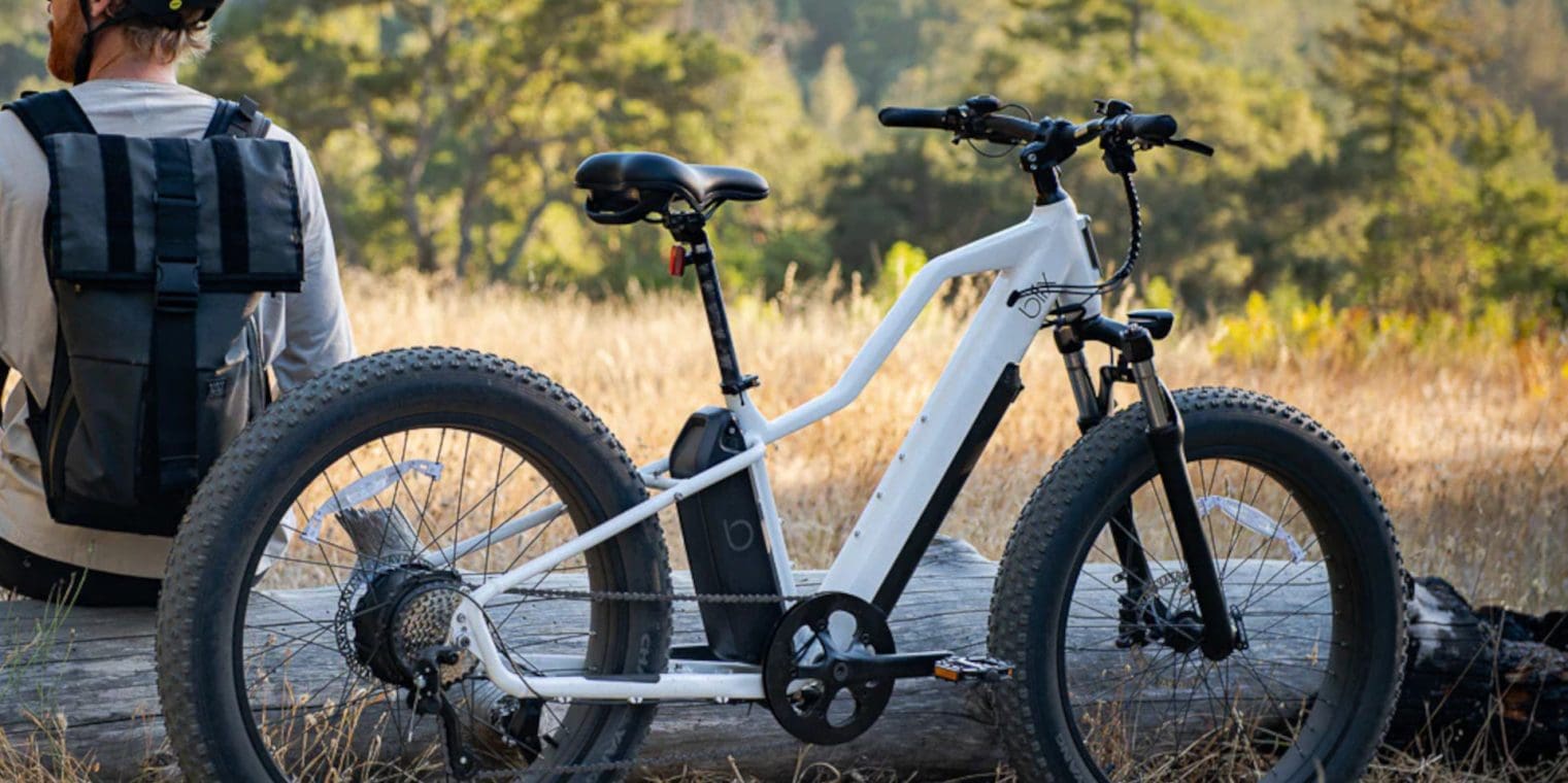 The Best Fat Tire eBikes [2024 Edition] webBikeWorld