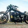 2019 Harley-Davidson Sportster Iron 1200 Custom