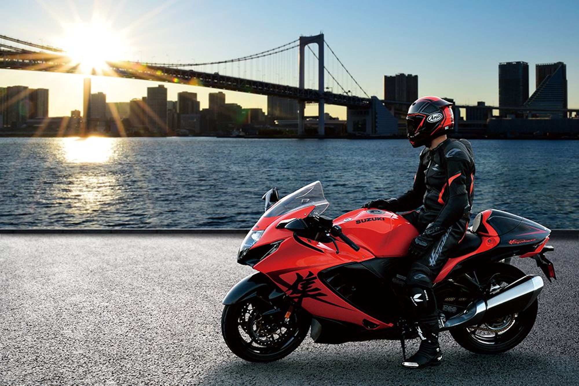 A motorcyclist in front of a bridge.